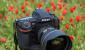 Тест полноформатной зеркальной камеры Nikon D5 Nikon D5